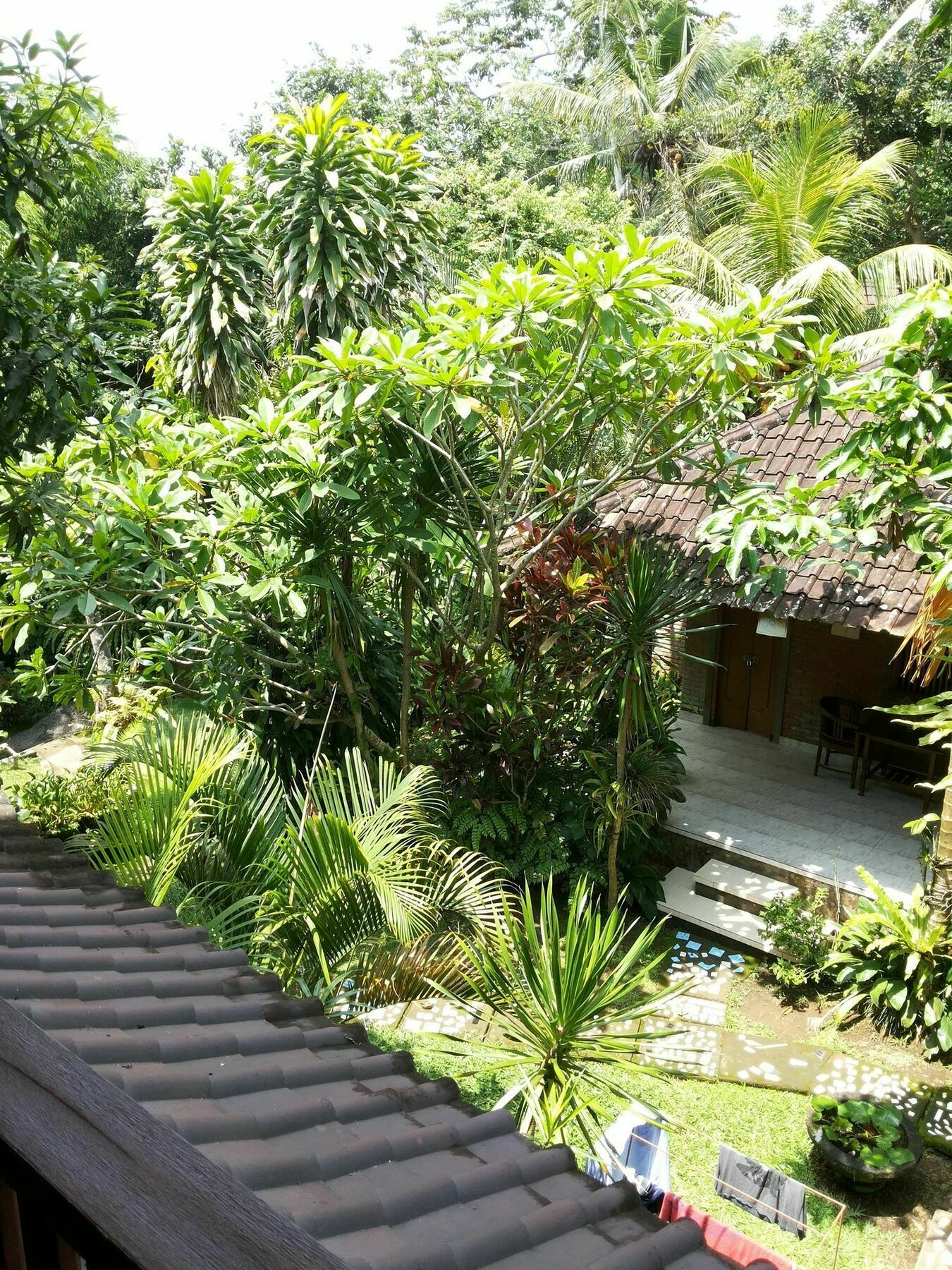 Ben'S Homestay Ubud  Bagian luar foto